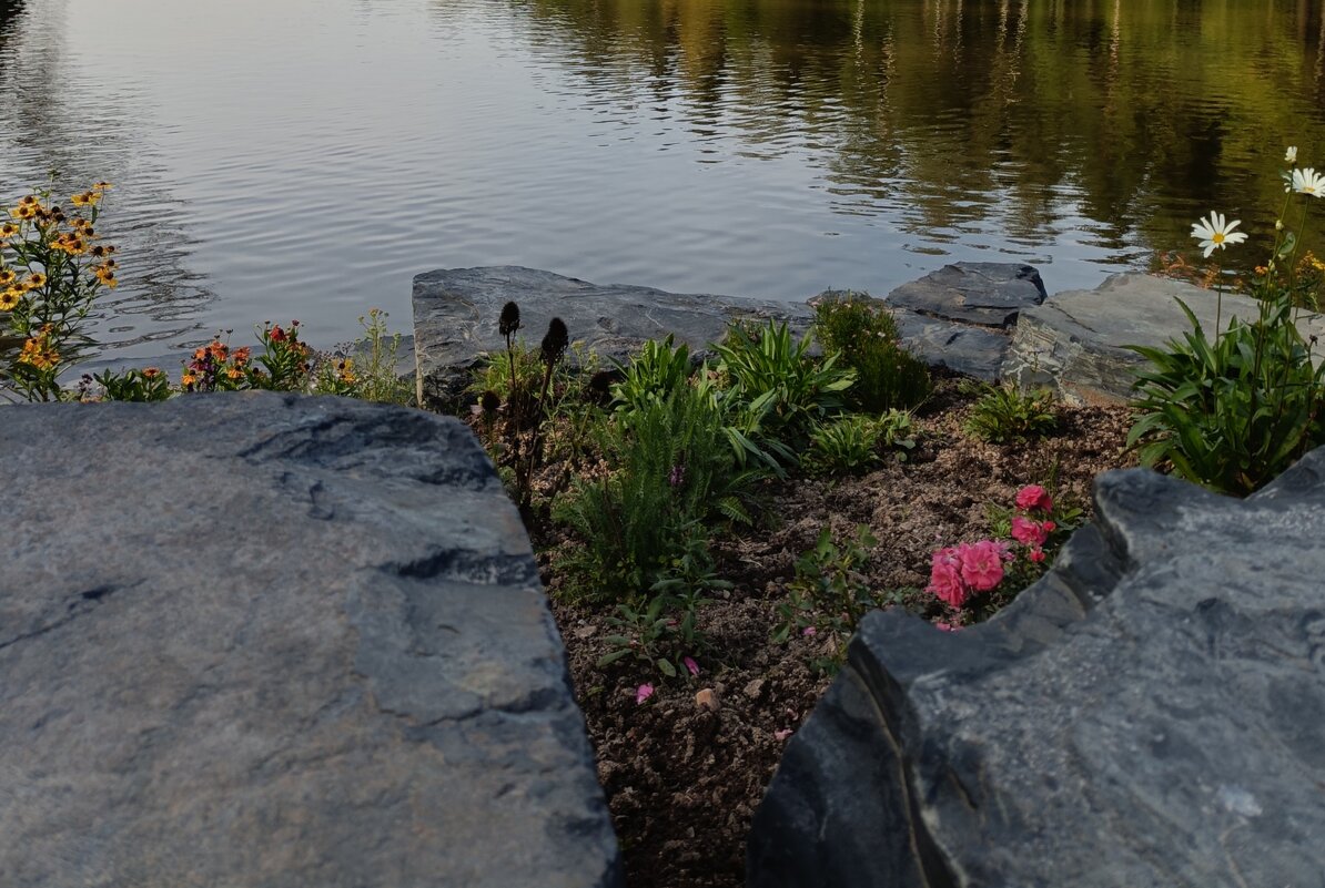 и у камней растут цветы... - Галина R...