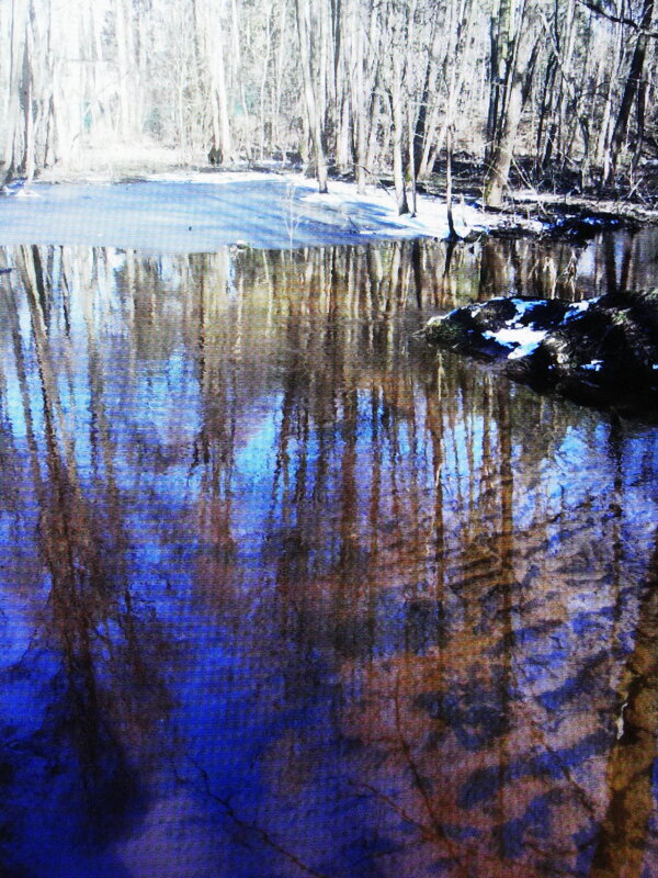 Красивое отражение - Людмила Смородинская