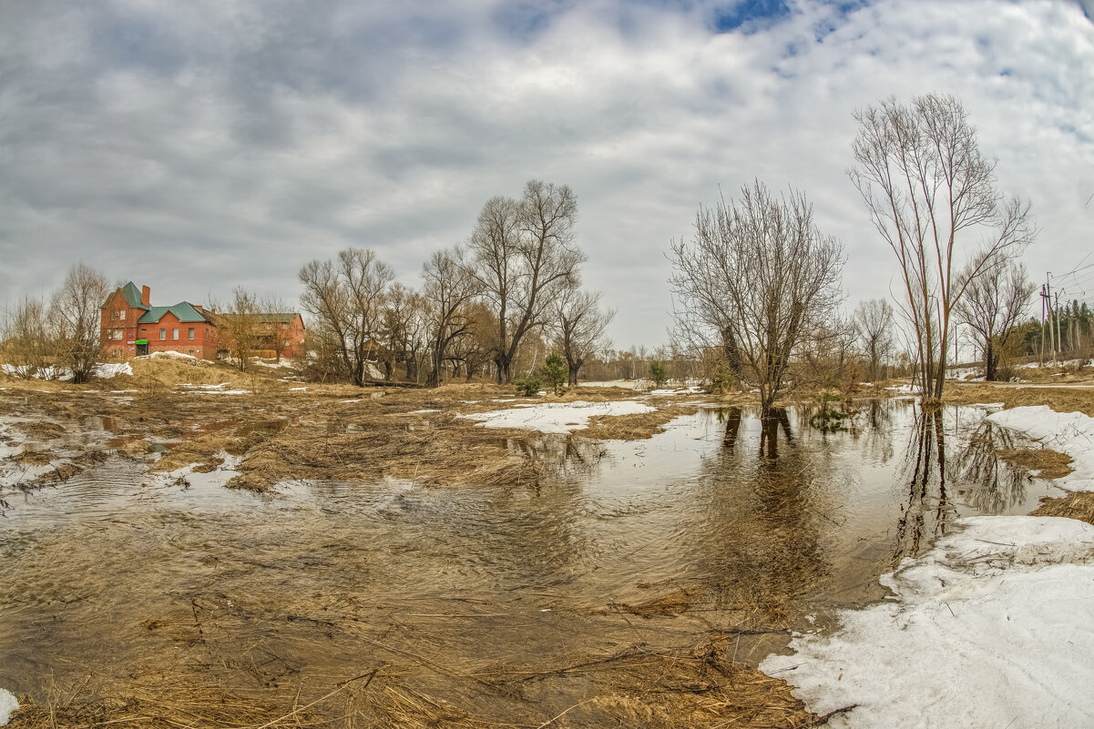 Океан весенних луж. - Николай 