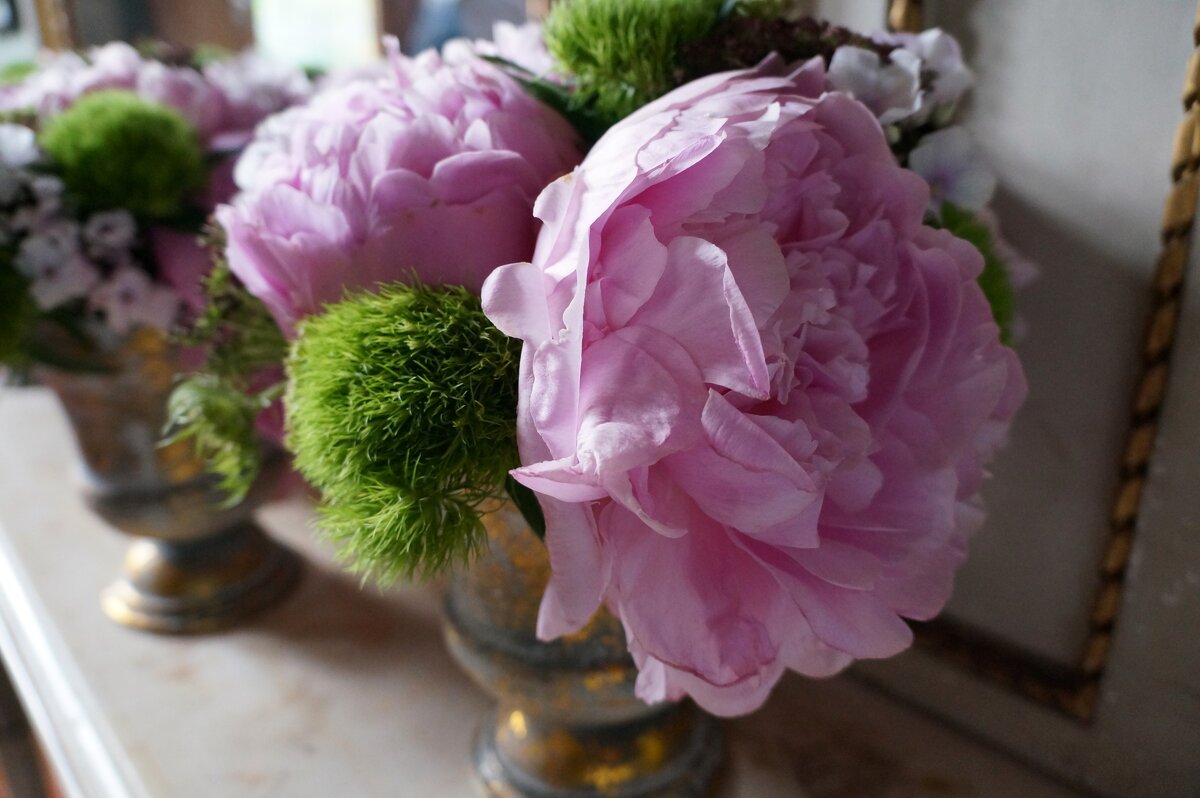 * - Алёна Савина