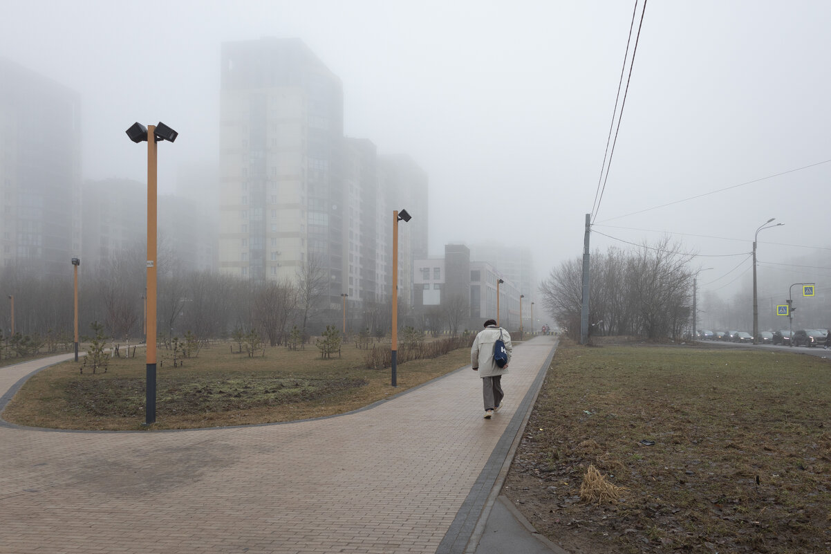 * - Светлана Воробьева