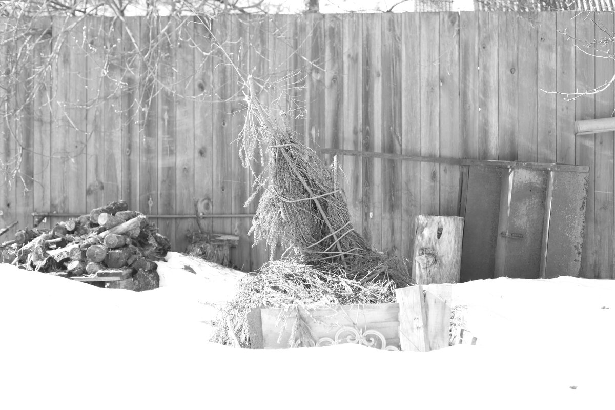 Мечты о ч/б Леке 83. - Михаил Елочкин