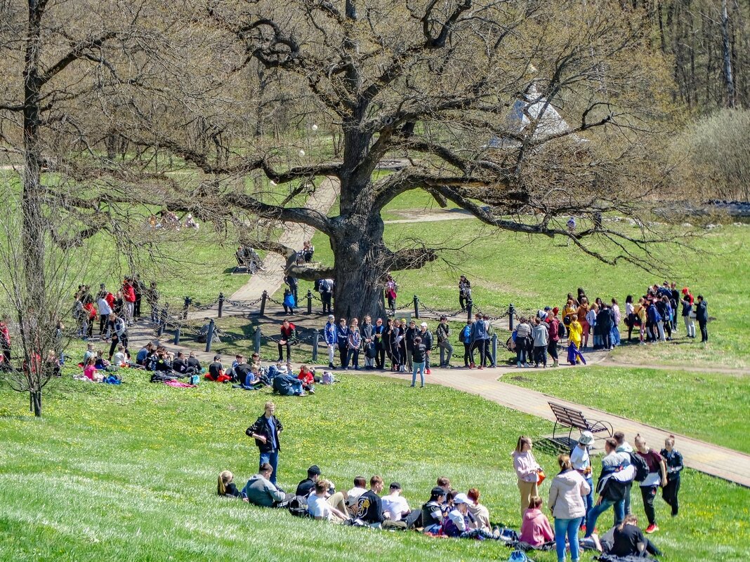 Весеннее настроение ... - Ravile 