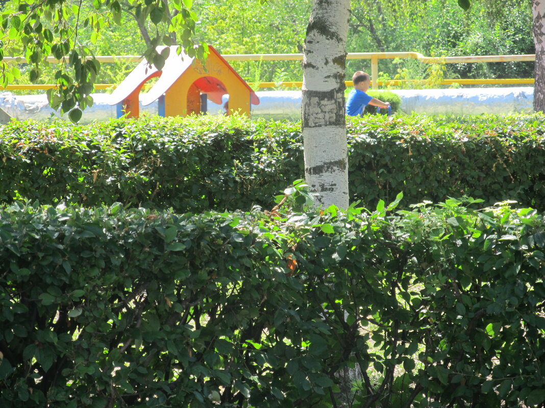 июль - Елена Шаламова