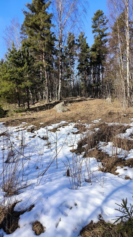 Прекрасный мартовский денек! - Ольга Прекрасный мартовский денек! - Ольга