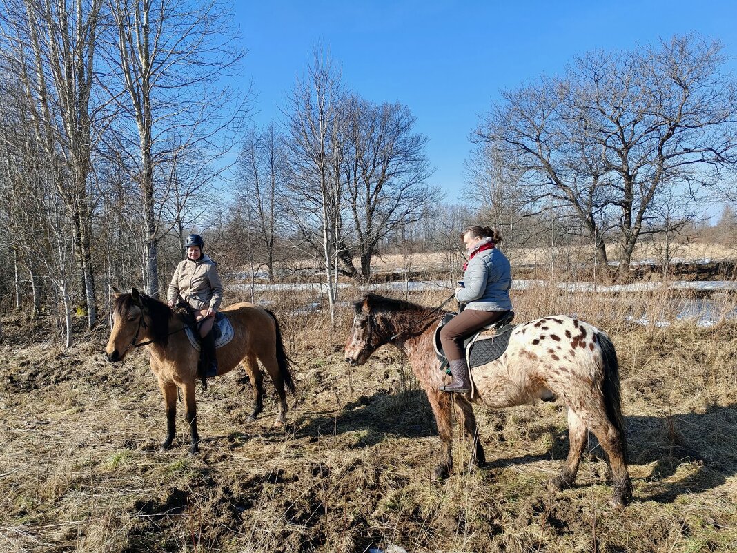На прогулке. - Ольга 