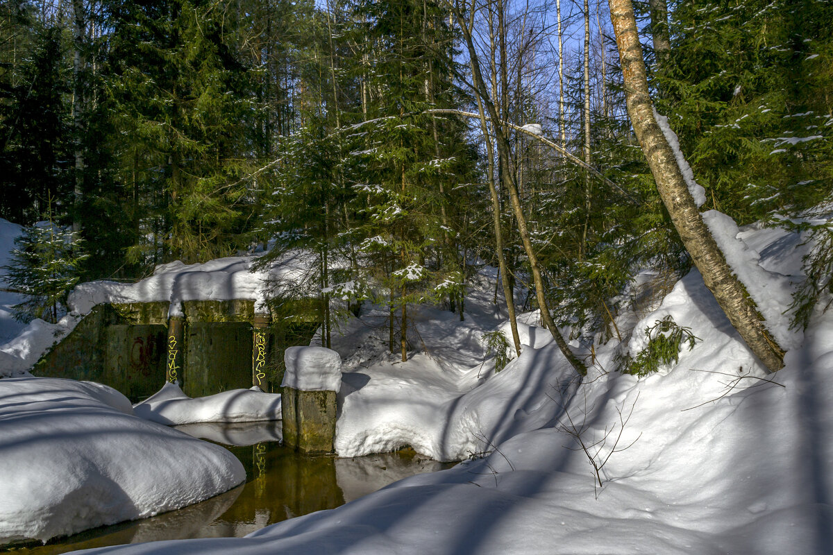 Начало марта - Сергей Цветков