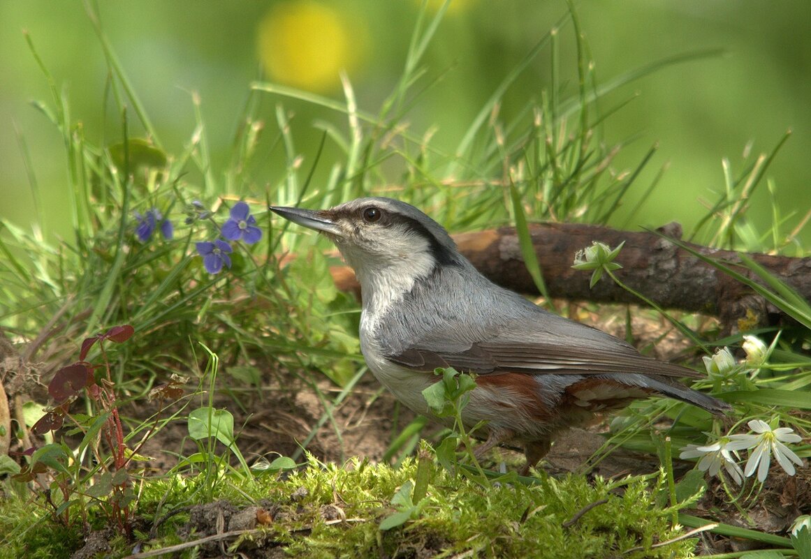 ... - Вячеслав Минаев