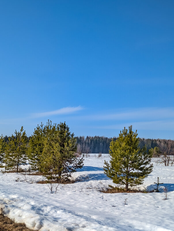 Чудесный день - Анастасия Логинова