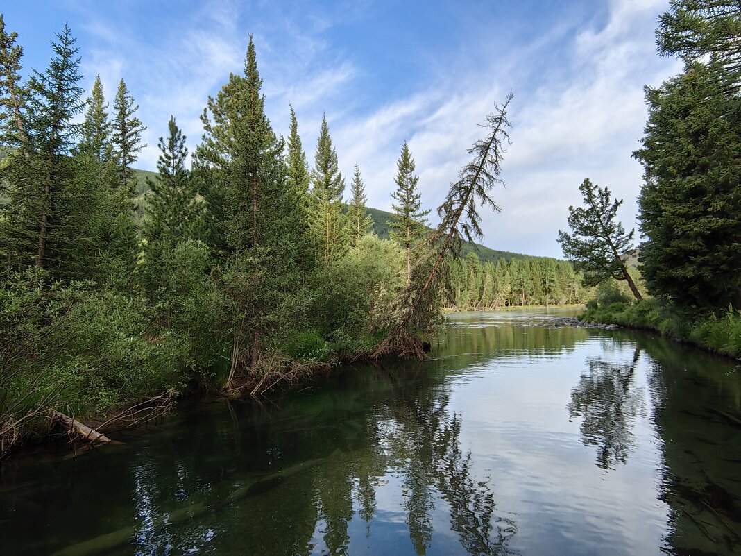 На слиянии рек Бара и Аргут - Галина Козлова 