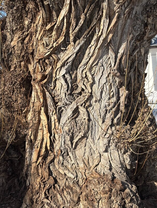 Фактура - Мария - Maria