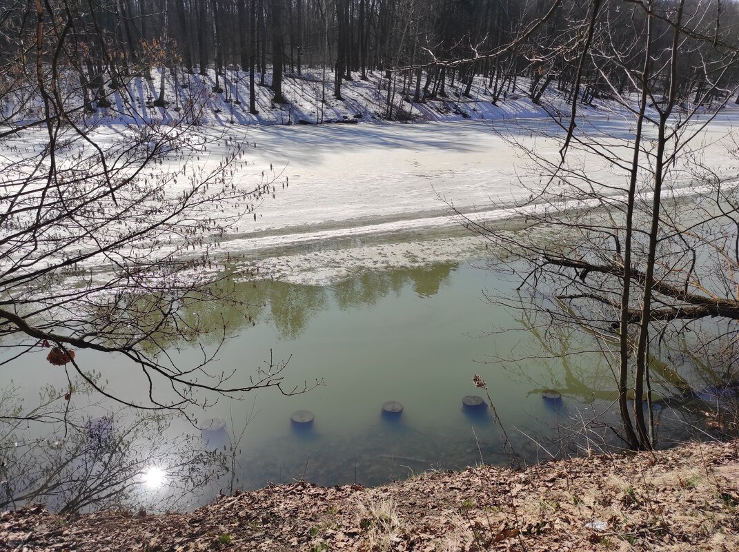 Весна в Царицыно - Игорь Ч. Весна в Царицыно - Игорь Ч.