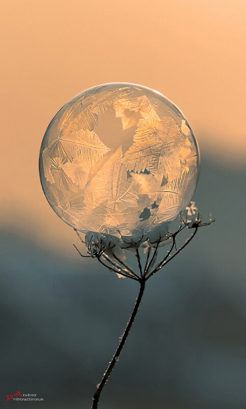 На закате... - Андрей Пристяжнюк