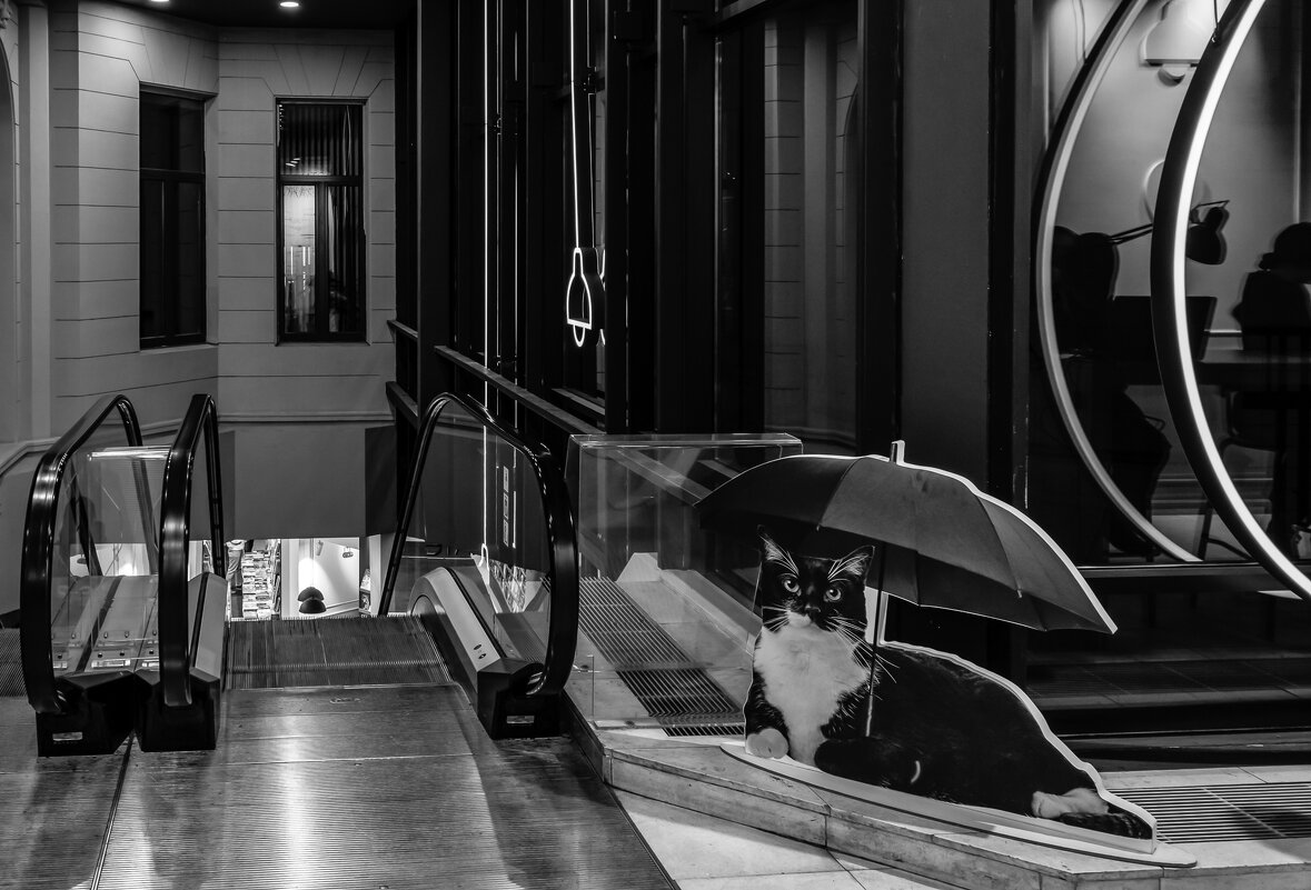 Не забудьте зонтик - Вы в Петербурге! - Игорь Викторов Не забудьте зонтик - Вы в Петербурге! - Игорь Викторов