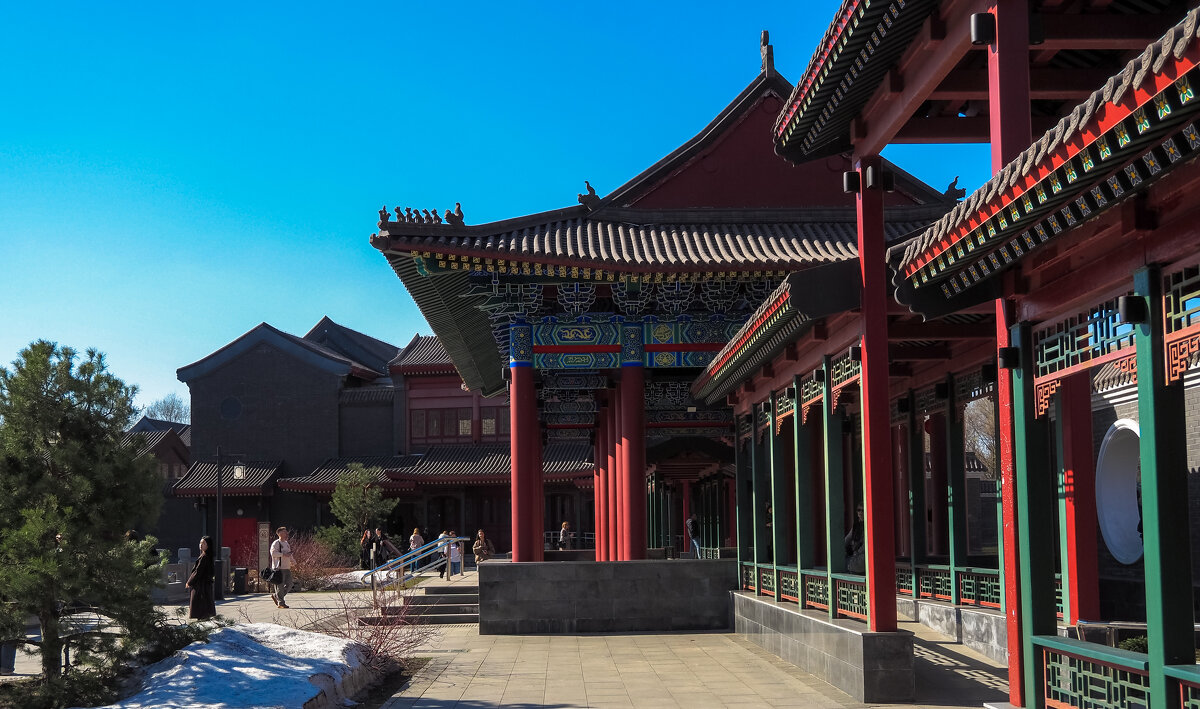 Зарисовка из Парка Хуамин - юрий поляков Зарисовка из Парка Хуамин - юрий поляков