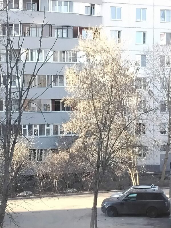 Весна пришла - Дмитрий Никитин