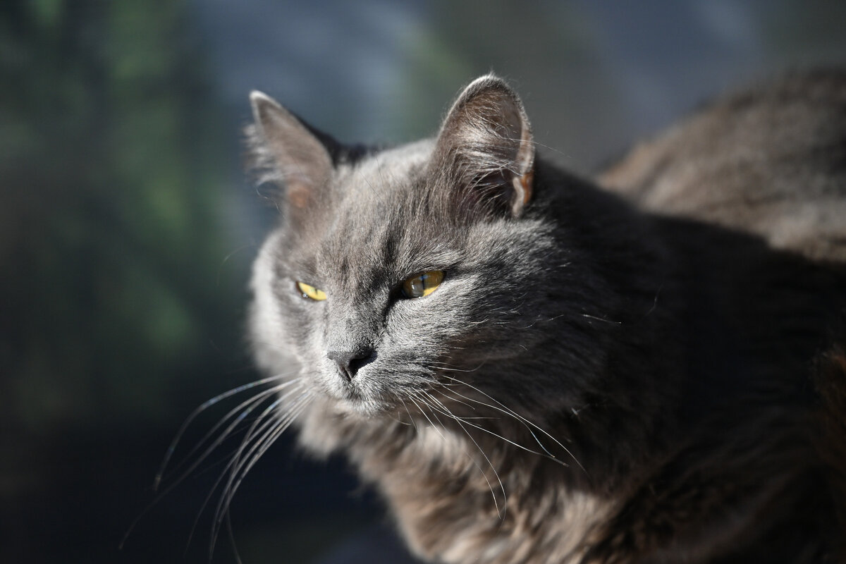 Сашка - Вадим 