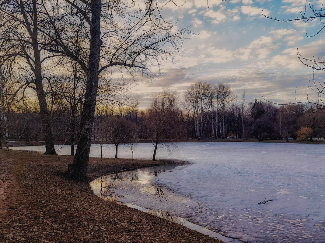 Весенние зарисовки в парке Победы. - Лилия * Весенние зарисовки в парке Победы. - Лилия *