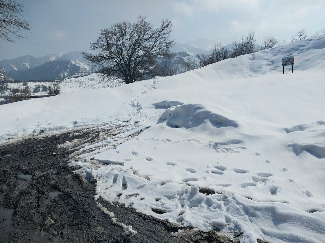 Ак Булак. Талгар. - Murat Bukaev Ак Булак. Талгар. - Murat Bukaev