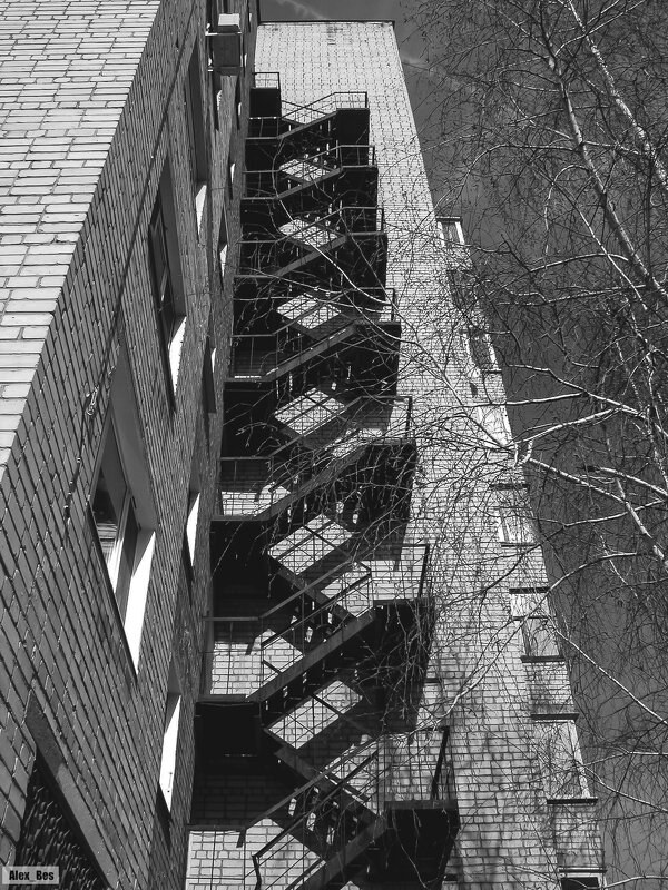 №271 - Alex Bes №271 - Alex Bes