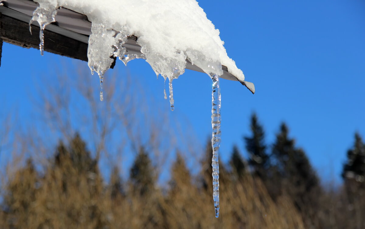 Весенняя капель. - Маргарита ( Марта ) Дрожжина