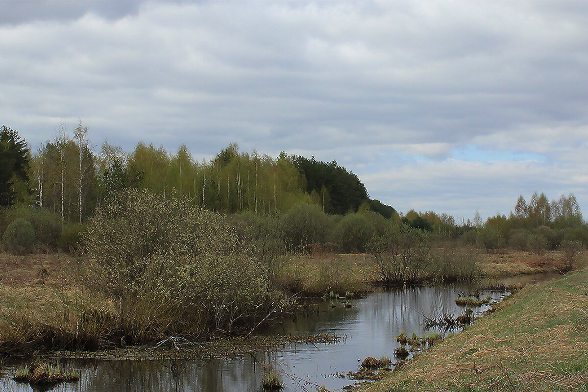 Что-то весеннее, влажно-воздушное - Ирина Кустова
