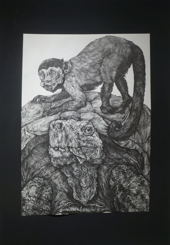 Воронина Вероника / Обезьяна и черепаха / 2020 - zavitok *