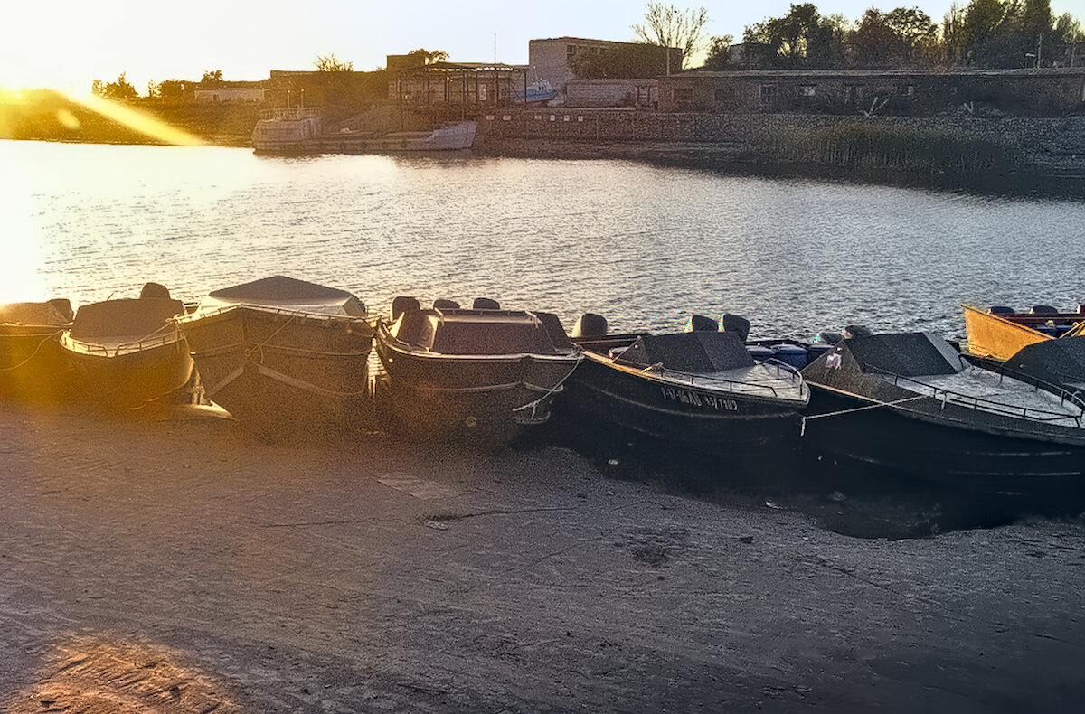 Лайбы Каспия - Andy 