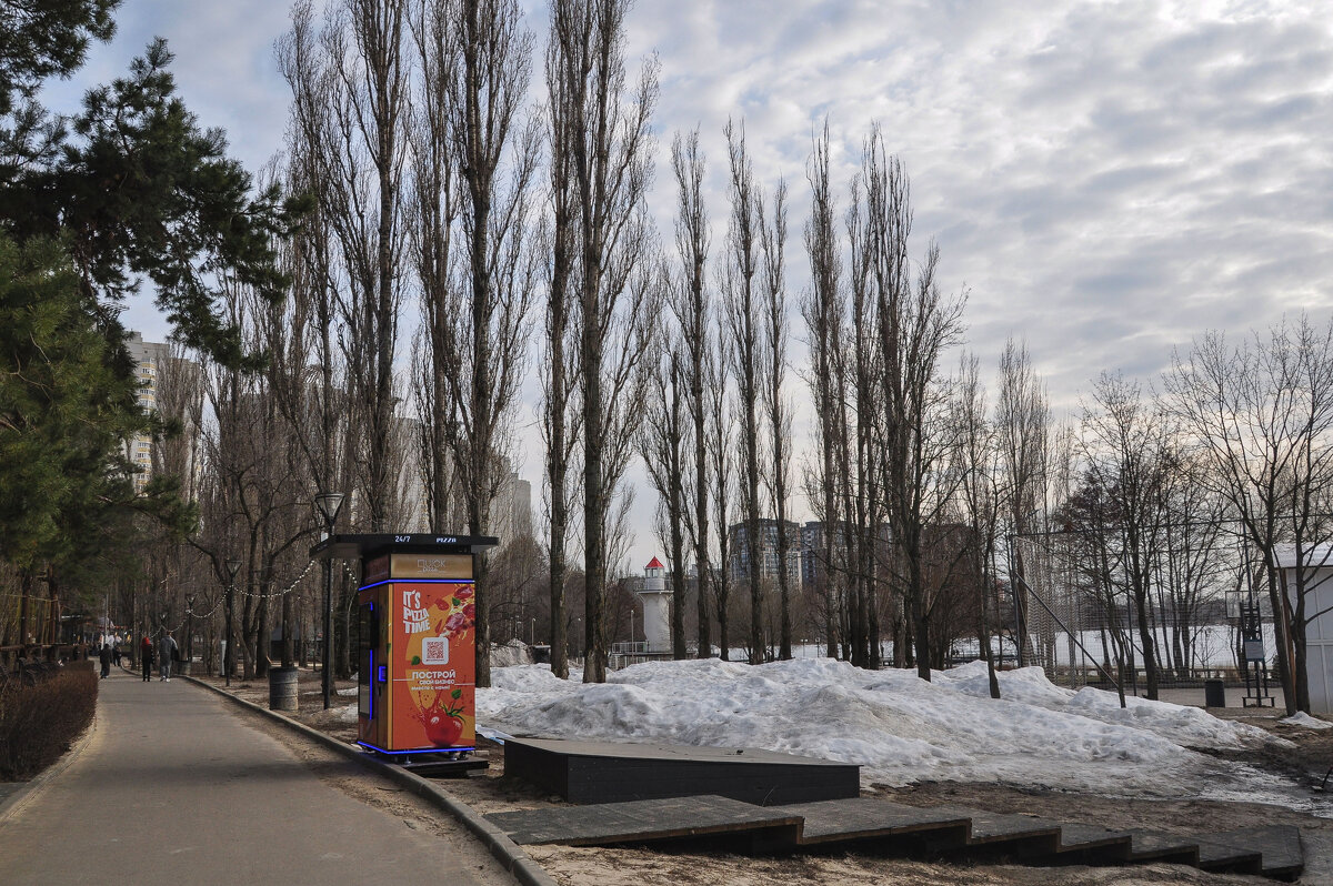 Последний снег - Татьяна Машошина