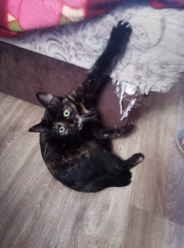 Принцэса - Сергей Кочнев