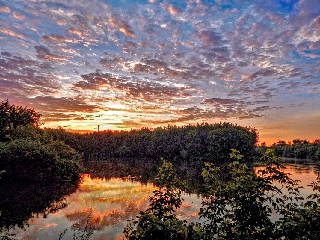 ПреКрасное начало дня! - Елена Хайдукова  ( Elena Fly )