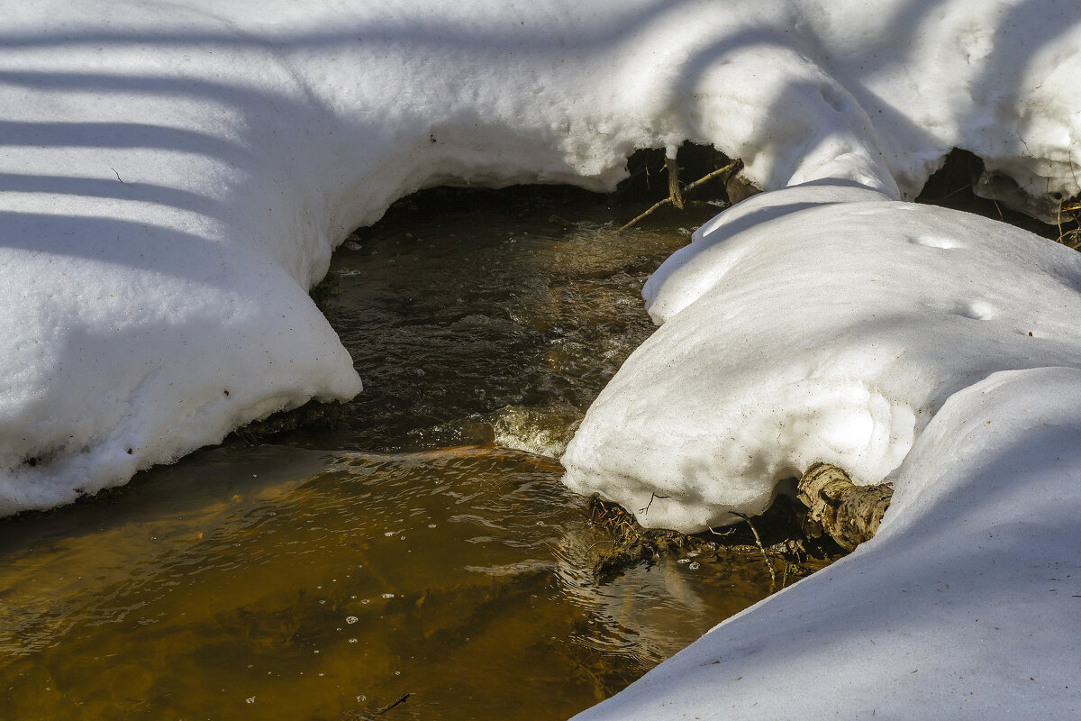 Журчат ручьи - Сергей Цветков