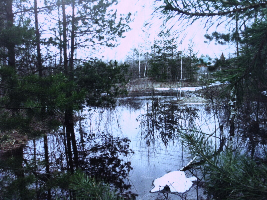 Почти весь снег растаял - Людмила Смородинская Почти весь снег растаял - Людмила Смородинская
