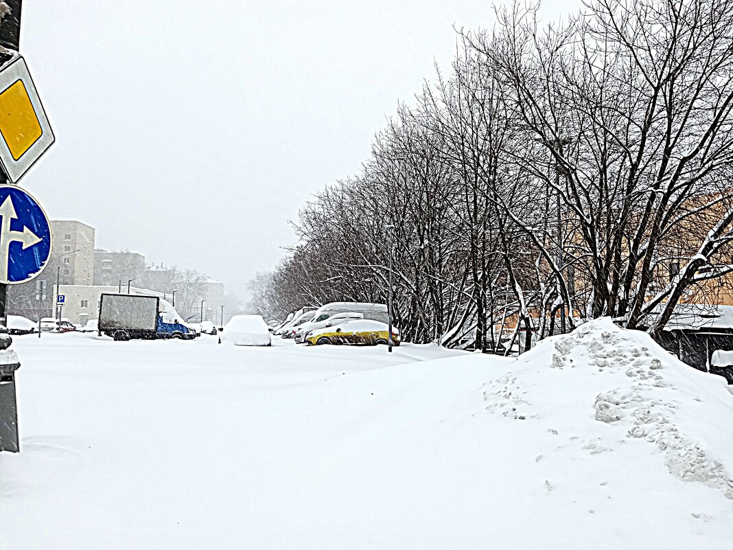 Зима. - Владимир Драгунский