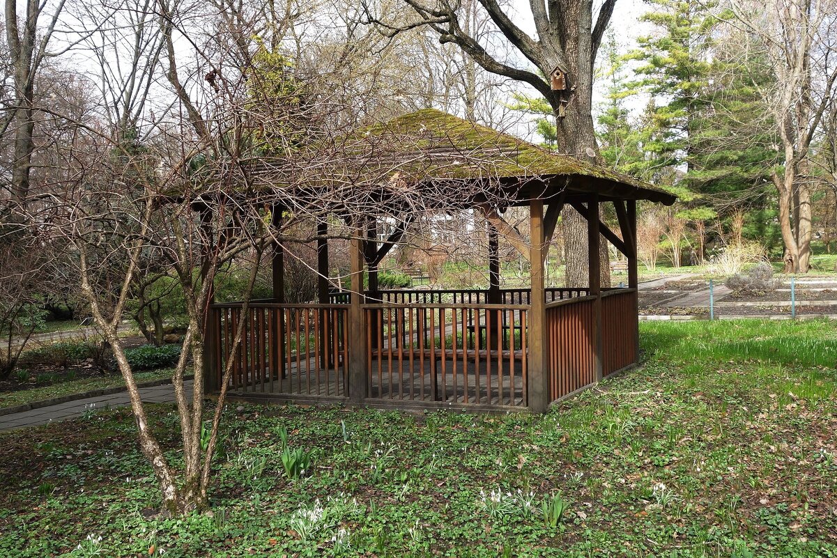 Март, ландшафтный парк, Калининград - Рита Симонова