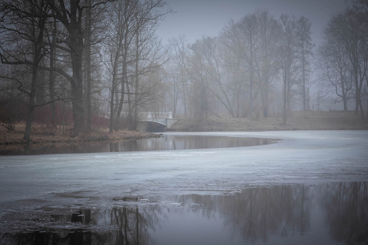 **** - Елизавета .