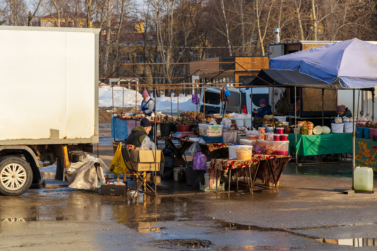 Мартовская распродажа зимних запасов - Александр Синдерёв