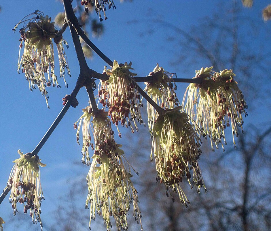 Весеннее - Елена Семигина