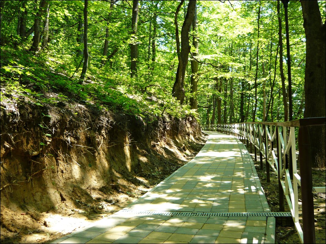 Дорога к Святому Источнику! - Надежда 