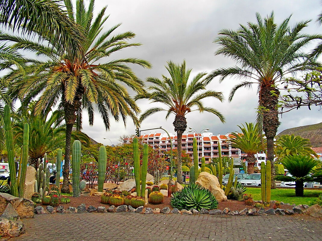 Весна в Лос Кристианос. - Лия ☼ Весна в Лос Кристианос. - Лия ☼