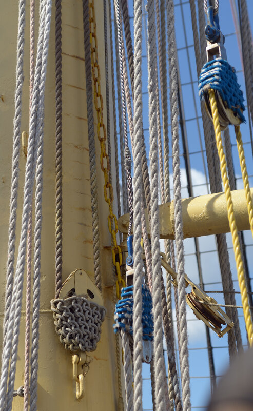 "Мир". "Гнёзда". - Константин Белоногов