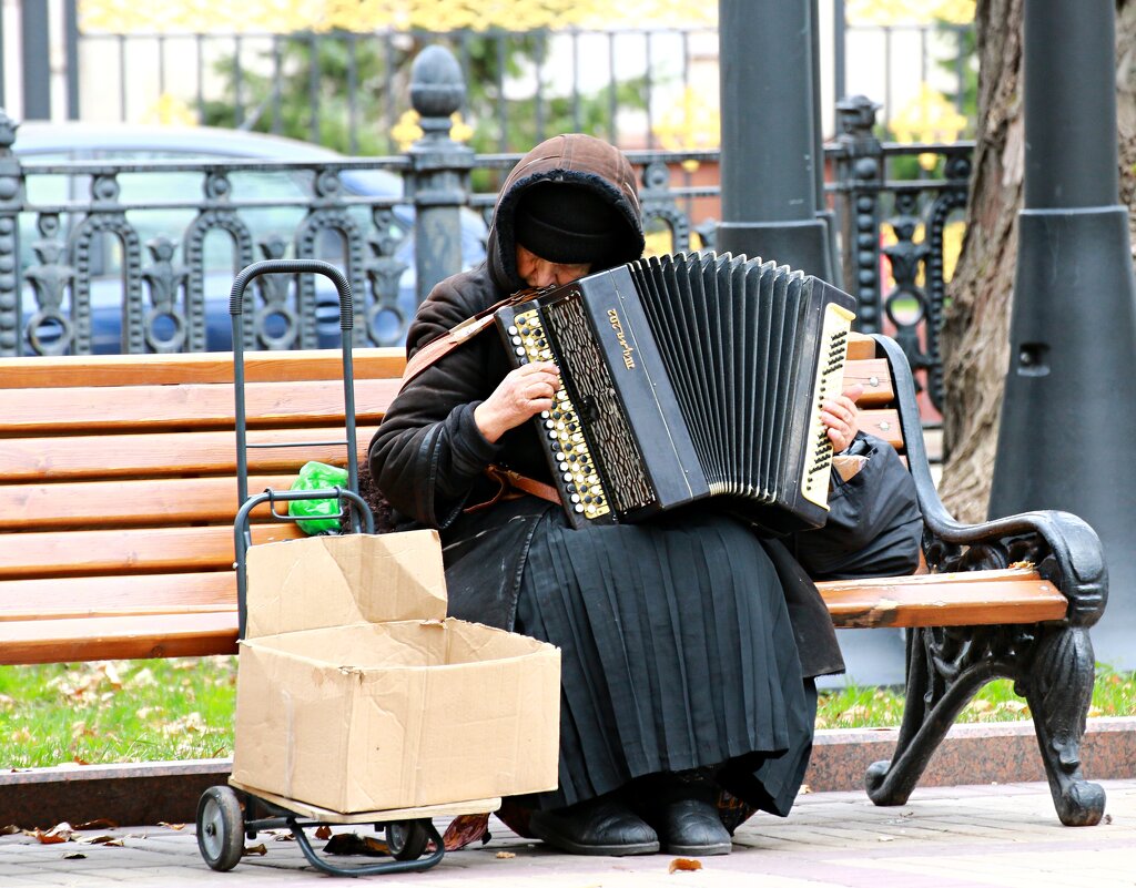 Город и его обитатели - Владимир59 