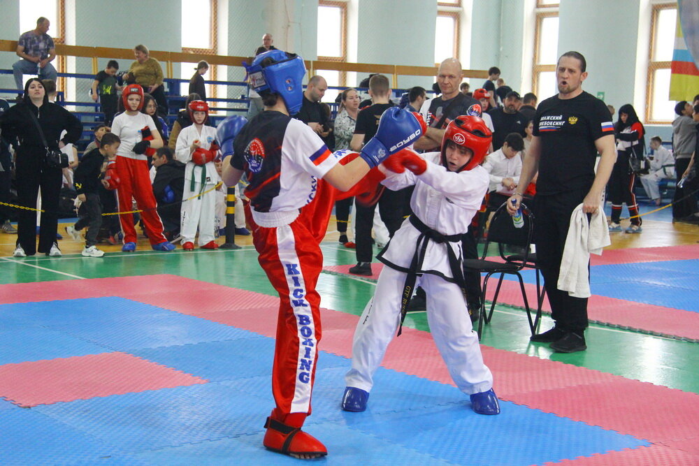 Кикбоксинг против тхэквондо - Владимир Насыпаный 