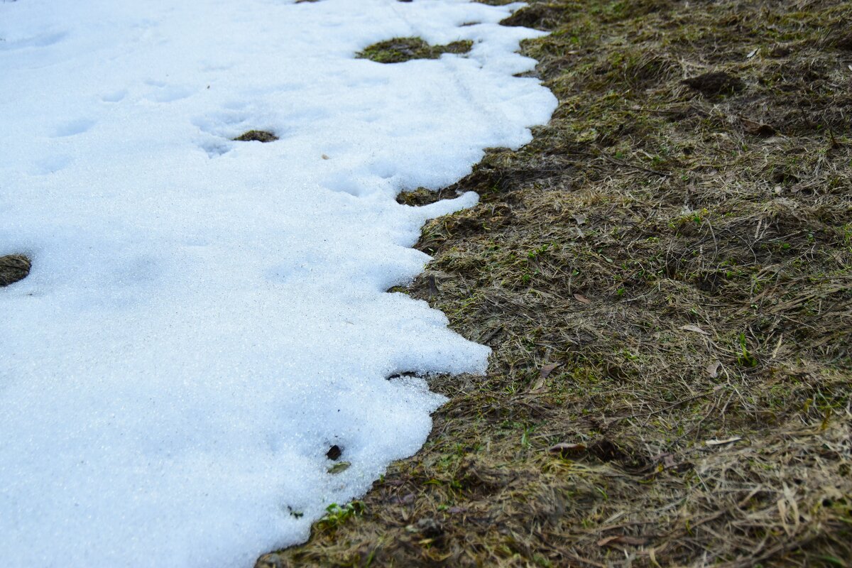 Весна загружается... - Наталья Вязигина