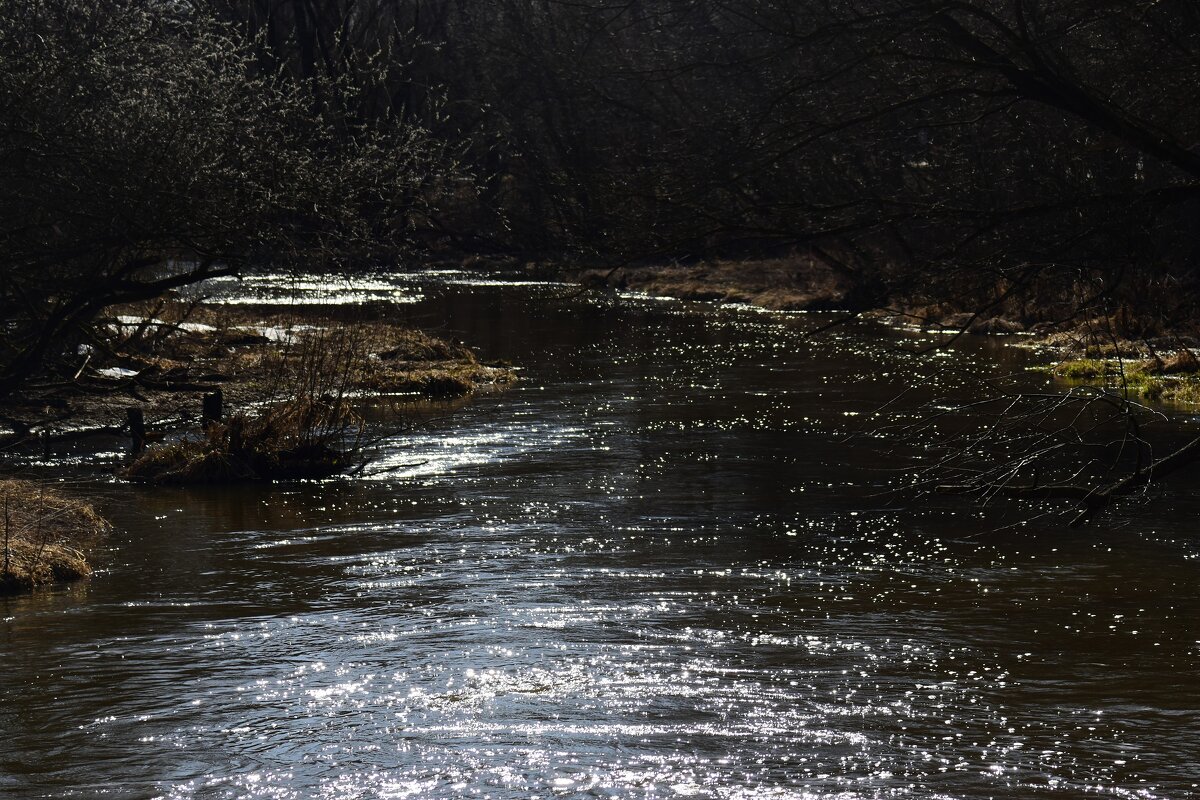 Яуза разливается - Наталья Вязигина