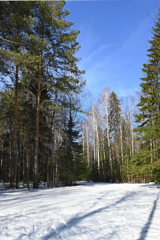 Весна. - ВикТор Быстров