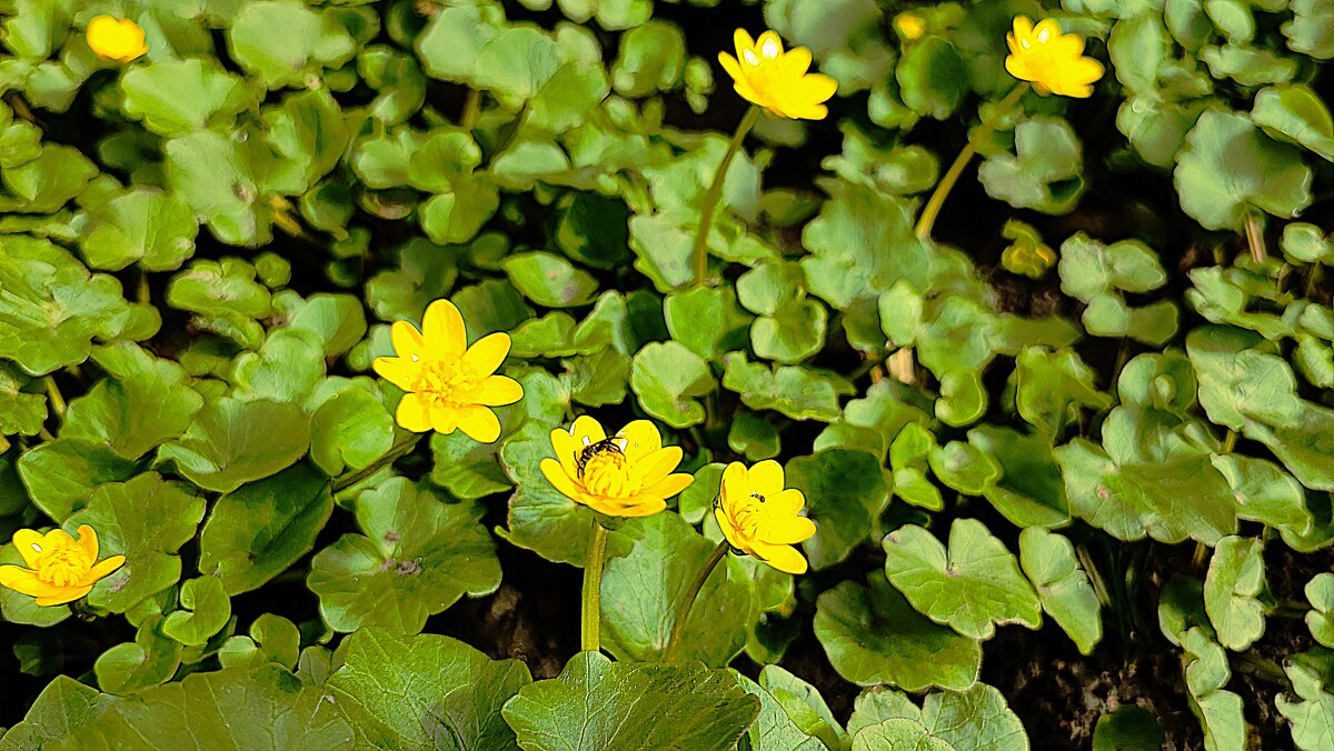 ,,, - Сергей Тимоновский