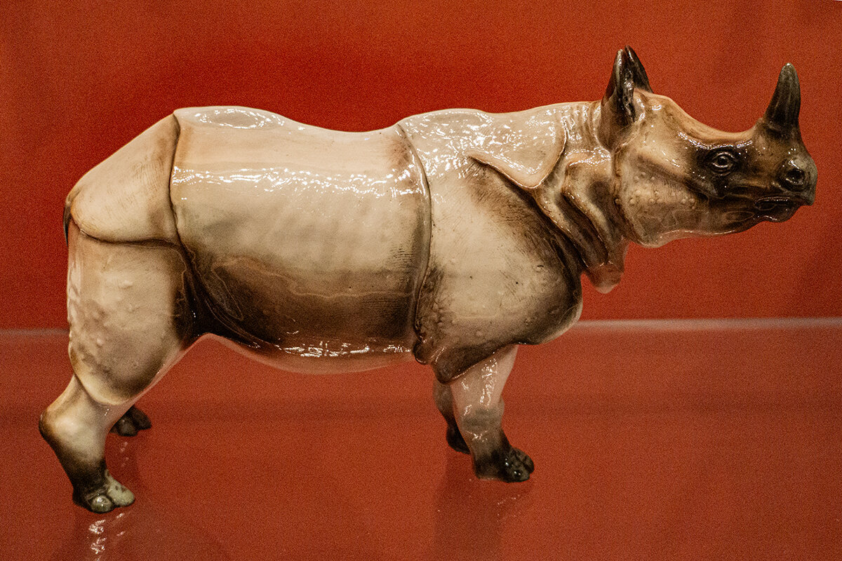 Носорог - Ирина Соловьёва