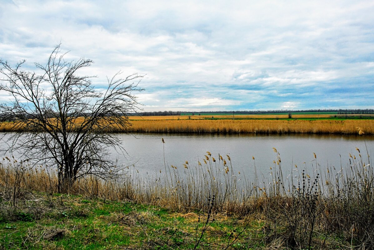 Весна. - Владимир 