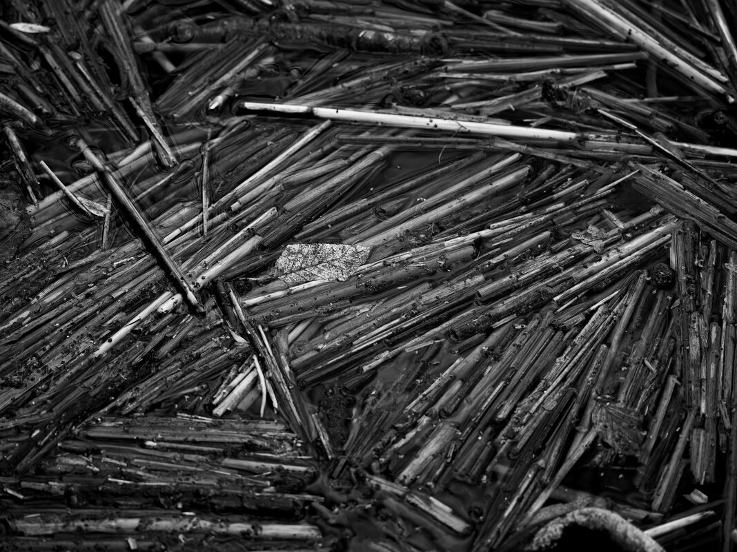 *** - Вадим Вайс